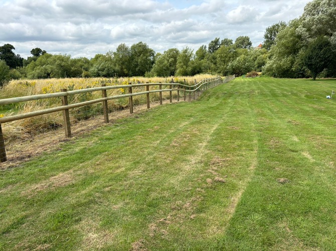 Dog-proof fencing near Wallingford